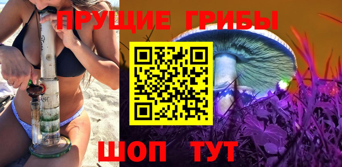 Псилоцибиновые грибы Psilocybe Нижний Новгород