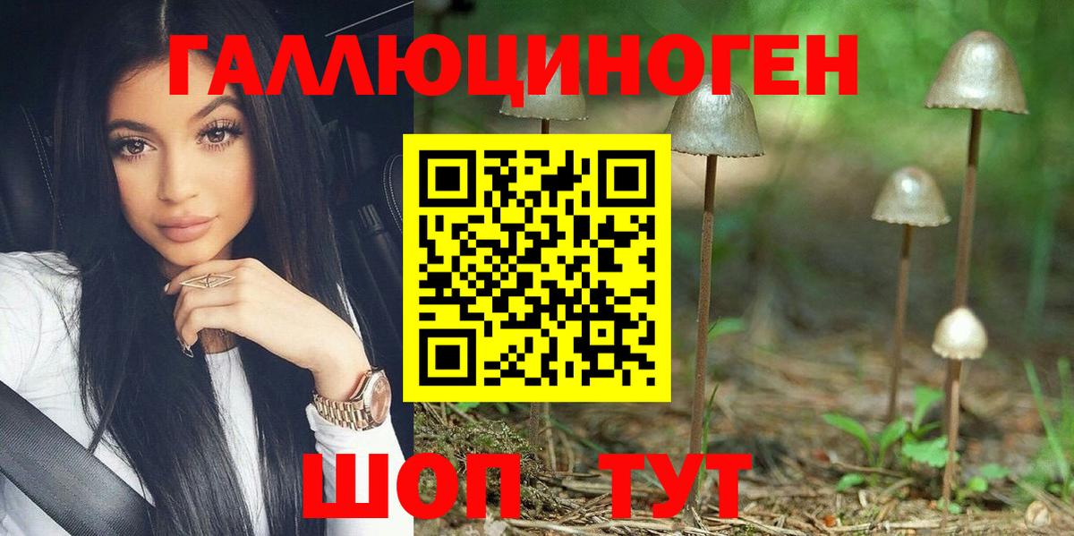 Нижний Новгород  Галлюциногенные грибы мицелий  Вход с VPN 